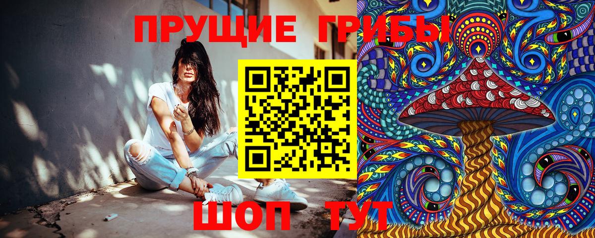Псилоцибиновые грибы прущие грибы  Галлюциногенные грибы мухоморы  Вышний Волочёк  купить закладку  Вход с VPN 