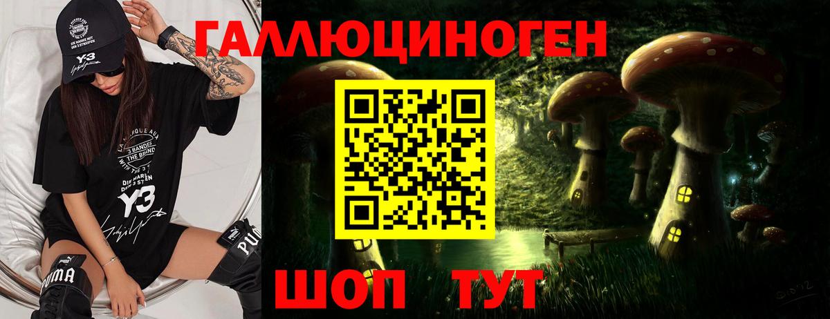 Псилоцибиновые грибы прущие грибы Вышний Волочёк
